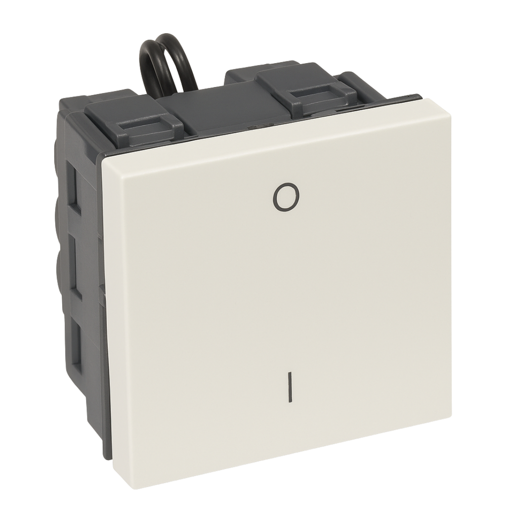 LEGRAND Arteor™ White Double Pole Switch 2mod