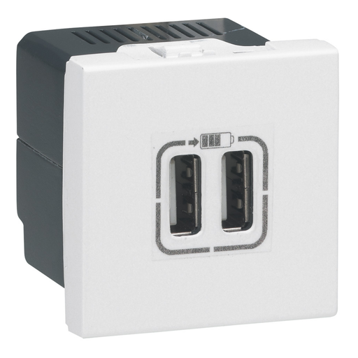 [572078] LEGRAND Arteor™ White Socket Double USB 2mod
